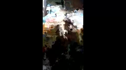 Snapshot of carrilloeverardo219 chatting on March 23, 2026, 11:31 pm carrilloeverardo219 online show from March 23, 2026, 11:31 pm