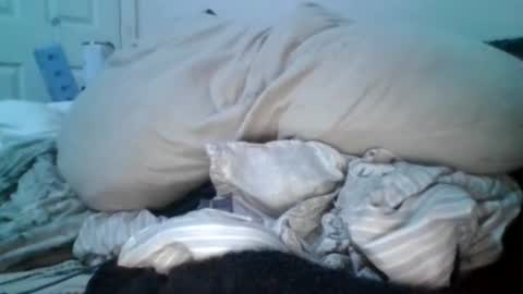 Snapshot of carvelj chatting on June 16, 2026, 7:33 am carvelj online show from June 16, 2026, 7:33 am