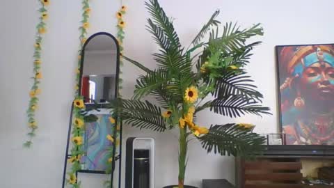 cashy_meal online show from May 19, 2026, 7:26 am