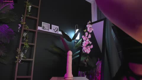 assie online show from February 2, 2025, 2:59 am