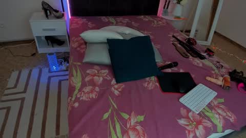 Snapshot of cassieevanss chatting on January 24, 2025, 6:46 am Cassie online show from January 24, 2025, 6:46 am