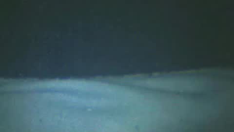 castells online show from February 20, 2025, 5:18 pm