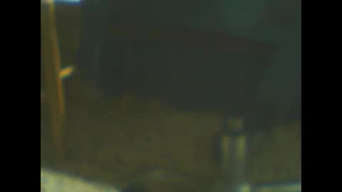 castells online show from October 20, 2025, 5:02 pm