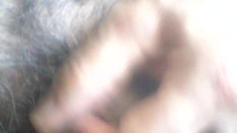 castells online show from June 24, 2026, 2:38 pm