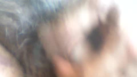 castells online show from June 26, 2026, 3:49 pm