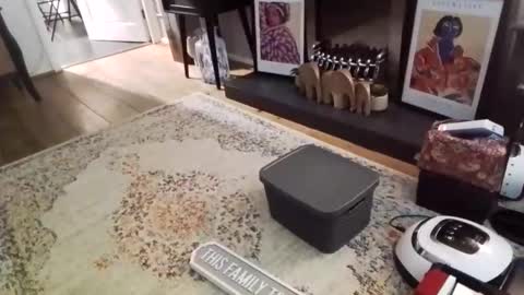 Snapshot of casuallyunhinged36 chatting on February 9, 2026, 8:46 pm Bakewell Trixie online show from February 9, 2026, 8:46 pm