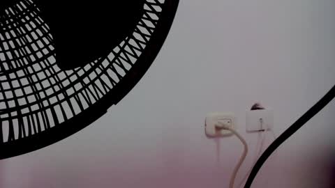 catalaia_stomm online show from January 17, 2025, 1:24 pm