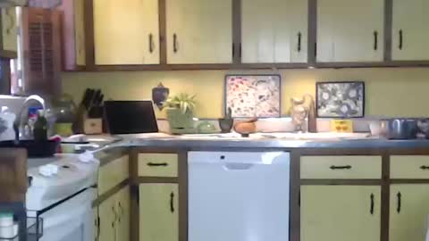 CATALYSTIC online show from October 12, 2025, 3:33 pm