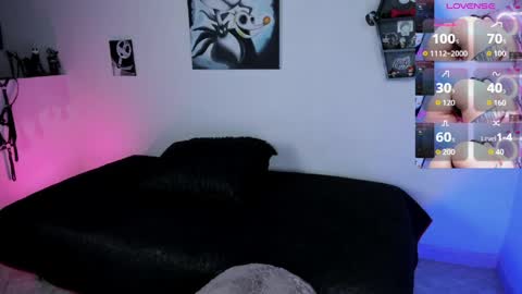 CattNamy online show from April 3, 2026, 8:01 am