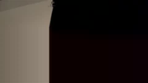 cece_vibez online show from January 18, 2026, 1:09 am