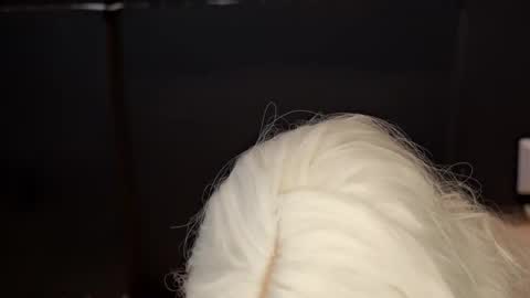 Celeste Madson online show from February 14, 2025, 10:49 am