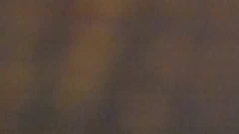 celestepink_jl online show from November 10, 2025, 12:42 am