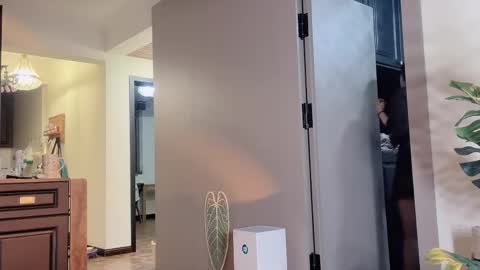 celestisse1 online show from April 21, 2026, 11:27 am