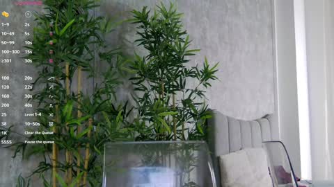 CelineMeyer online show from January 31, 2025, 1:56 pm