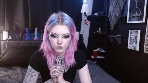 Snapshot of cerianex chatting on February 13, 2025, 12:46 am Averi online show from February 13, 2025, 12:46 am