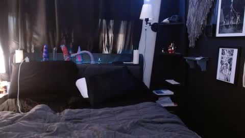 Snapshot of cerianex chatting on February 25, 2025, 11:22 pm Averi online show from February 25, 2025, 11:22 pm