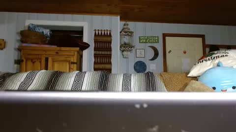 Snapshot of cguffey2284 chatting on December 29, 2024, 7:00 pm cguffey2284 online show from December 29, 2024, 7:00 pm