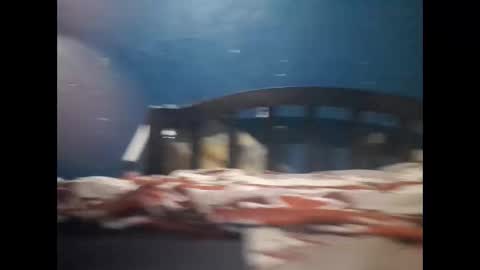 Khalif online show from December 20, 2024, 10:11 pm