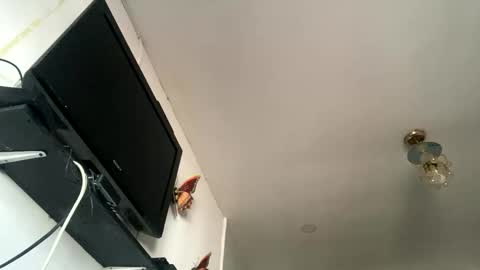 chanelfancy online show from April 26, 2026, 1:09 pm