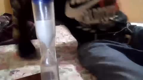 Snapshot of chanok33 chatting on February 27, 2025, 5:34 am chanok33 online show from February 27, 2025, 5:34 am