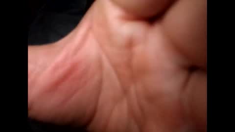 1 online show from December 13, 2024, 4:54 am