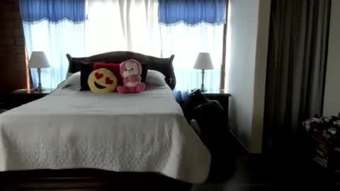 Charlotte online show from February 12, 2026, 4:35 pm