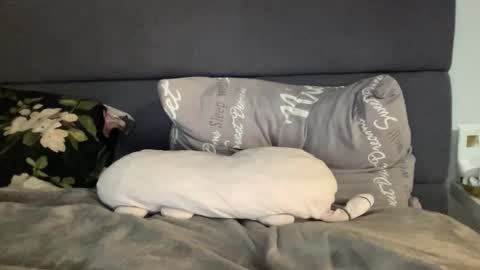 Vicky online show from September 19, 2025, 7:36 pm