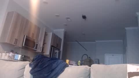 Chef Dev XXX online show from November 19, 2025, 3:45 pm