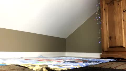 chenovich online show from January 4, 2025, 1:42 pm