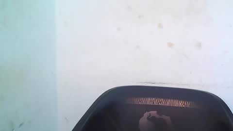 Snapshot of cherryxpussy chatting on May 3, 2026, 9:15 am cherryxpussy online show from May 3, 2026, 9:15 am
