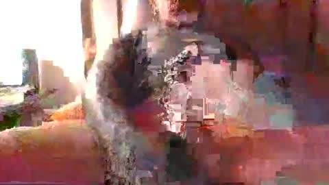 Snapshot of chikoink43 chatting on December 31, 2024, 5:22 am chikoink43 online show from December 31, 2024, 5:22 am