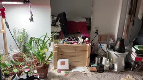 Snapshot of chiloschista chatting on February 3, 2025, 11:36 pm judith online show from February 3, 2025, 11:36 pm