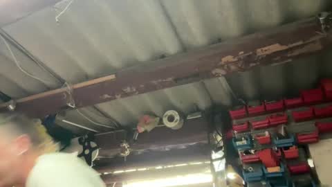 Chris online show from December 2, 2024, 2:42 am