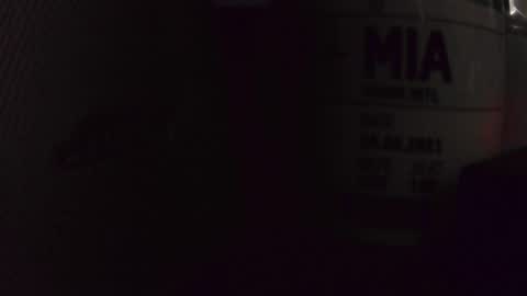 Snapshot of chrisatmiami448 chatting on October 14, 2025, 7:03 pm chrisatmiami448 online show from October 14, 2025, 7:03 pm