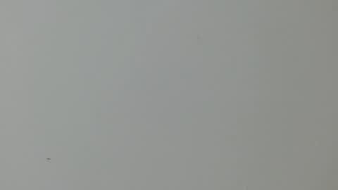 Snapshot of cinthia1609 chatting on February 11, 2025, 2:03 am cinthia1609 online show from February 11, 2025, 2:03 am