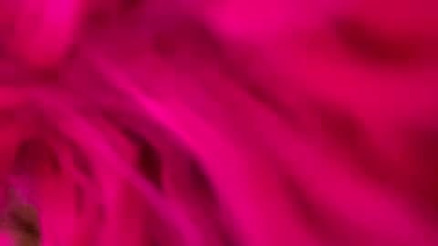 clarkshammer95 online show from March 3, 2025, 9:26 pm