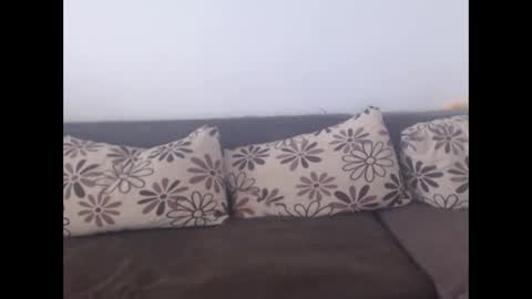 cobra4u online show from November 19, 2025, 9:53 am