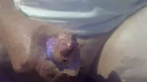 cocktoys online show from March 14, 2026, 8:25 pm