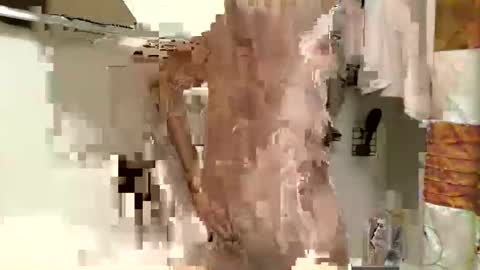 coco3402 online show from October 31, 2025, 3:35 pm