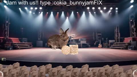 Cokia online show from December 5, 2024, 4:09 am