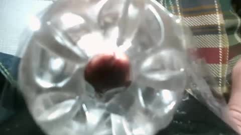 bearded hairy pits big brown cock online show from December 3, 2024, 10:29 pm