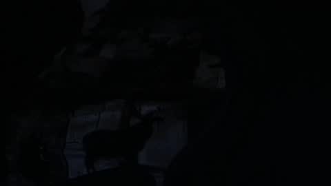 Snapshot of cooley77701 chatting on February 5, 2026, 10:42 am cooley77701 online show from February 5, 2026, 10:42 am