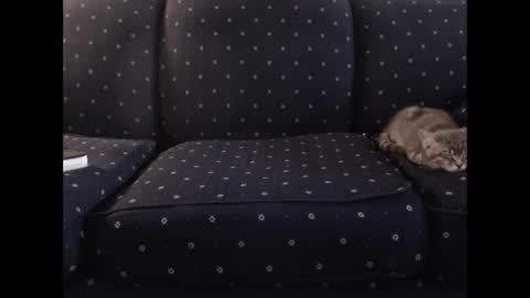 copper_crotch online show from December 19, 2025, 1:34 am