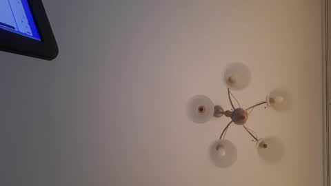 Corvus online show from December 30, 2024, 12:52 pm