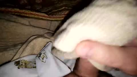 countdownsub online show from March 8, 2026, 4:44 pm