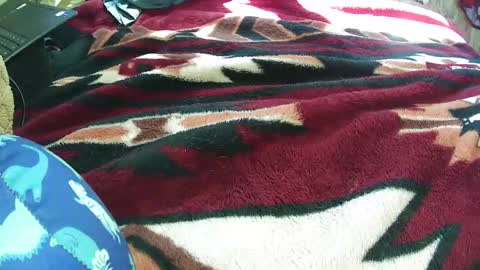 countryguy751601 online show from March 21, 2026, 7:06 pm