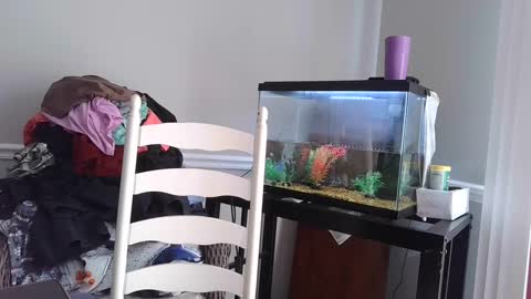 Fallen Angel 21 online show from March 4, 2025, 5:56 pm