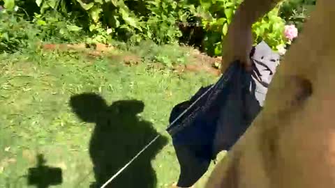 Snapshot of countrymilk chatting on January 6, 2025, 2:25 pm Countrydilf online show from January 6, 2025, 2:25 pm