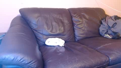 Tony online show from March 1, 2025, 5:20 am