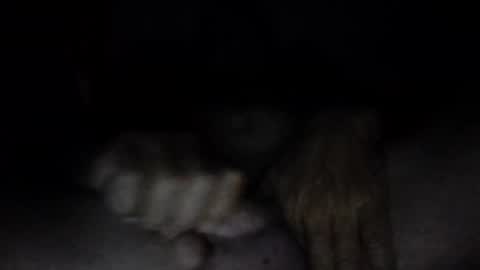 Snapshot of couqi_xxx10 chatting on June 2, 2026, 12:29 pm online show from June 2, 2026, 12:29 pm